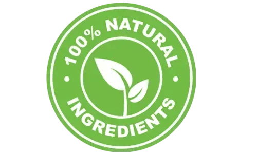 Leanotox 100% natural plant-based formula